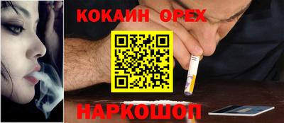 apvp Канаш