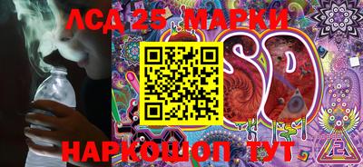 PSILOCYBIN Камышлов