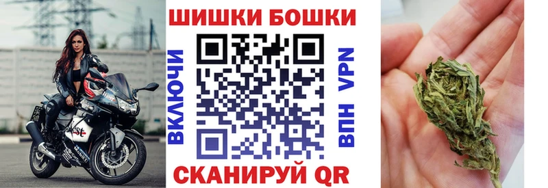 где купить наркотик  omg маркетплейс  Конопля White Widow  Нижнеудинск 