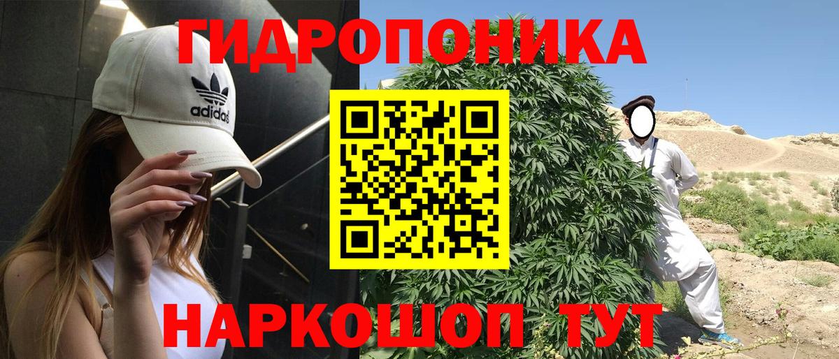 Шишки марихуана MAZAR  Конопля AK-47  Нижнеудинск  Вход с VPN 